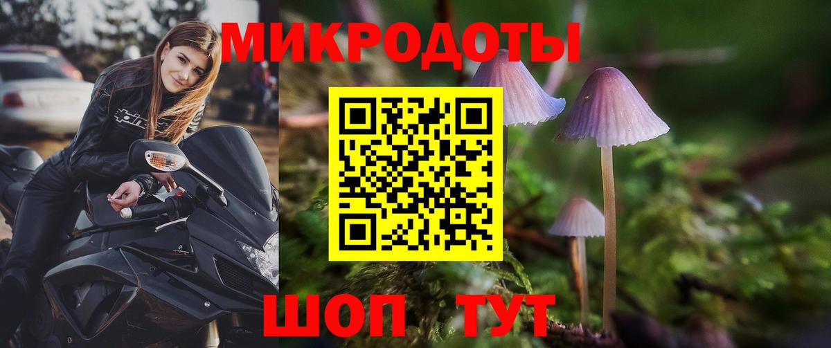 Галлюциногенные грибы прущие грибы Трёхгорный